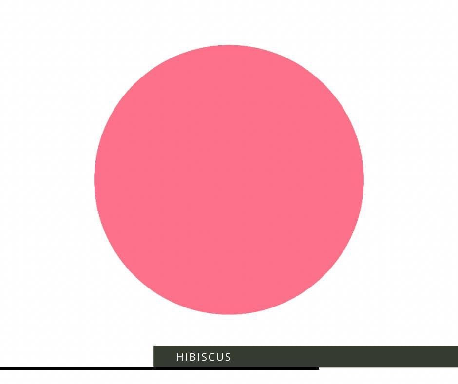 Hibiscus image 0