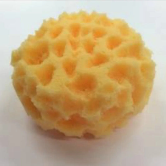 Textured Sponge for Faux Finishes and Glazing