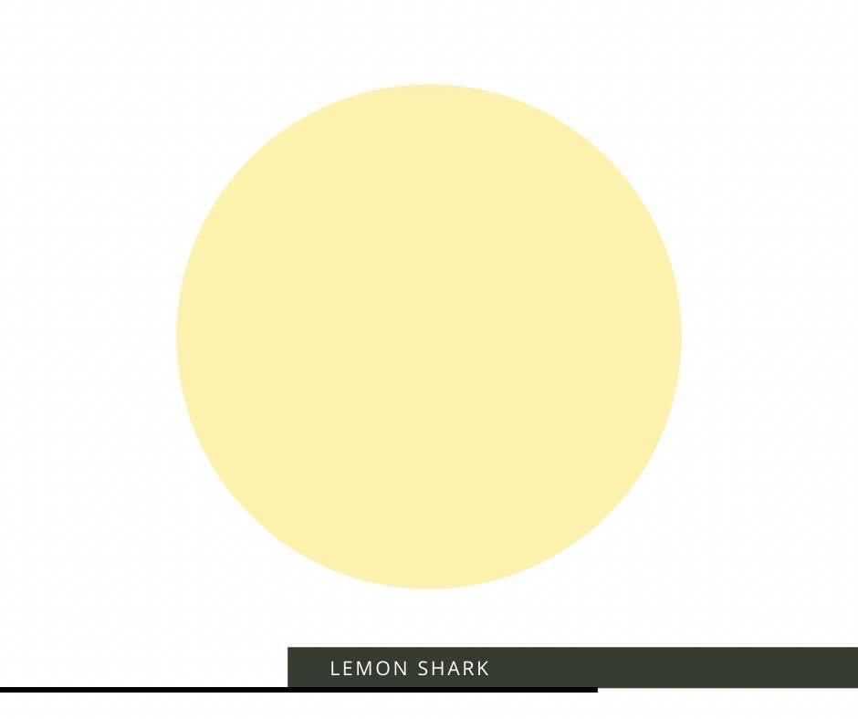 Lemon Shark image 0