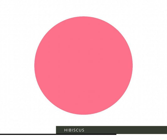 Hibiscus image 0