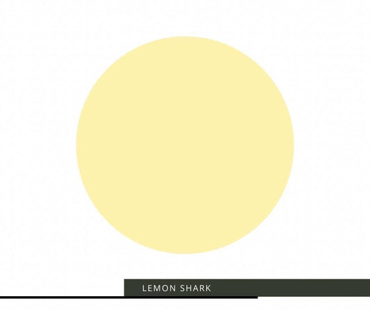 Lemon Shark image 0